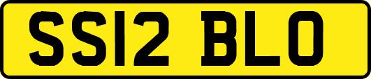 SS12BLO