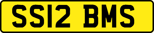 SS12BMS