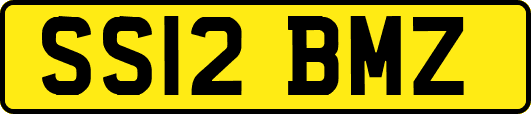 SS12BMZ