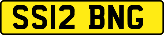 SS12BNG
