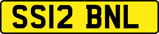 SS12BNL