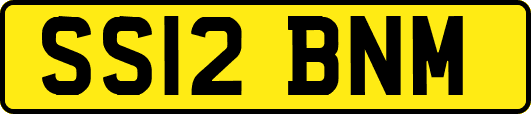 SS12BNM