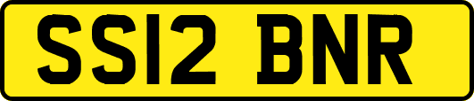 SS12BNR