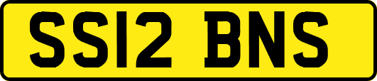 SS12BNS