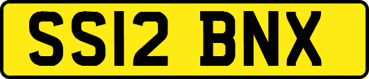 SS12BNX