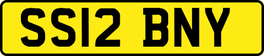 SS12BNY