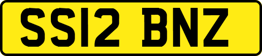 SS12BNZ
