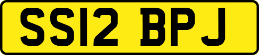 SS12BPJ