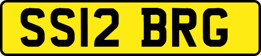 SS12BRG