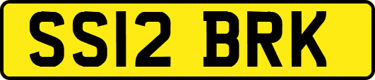 SS12BRK