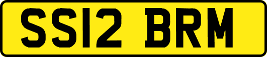 SS12BRM
