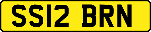 SS12BRN