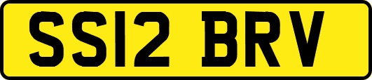 SS12BRV