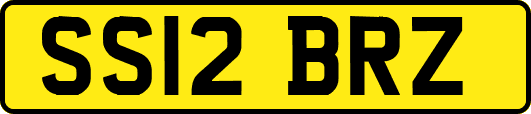 SS12BRZ