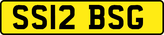 SS12BSG