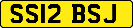 SS12BSJ