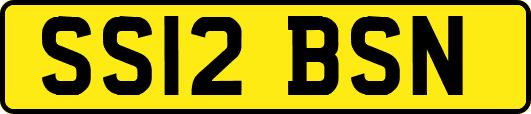 SS12BSN
