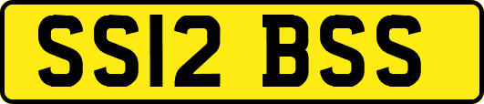 SS12BSS