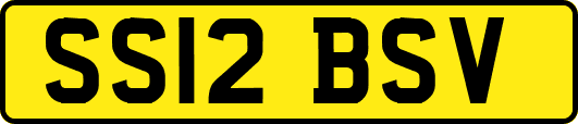 SS12BSV