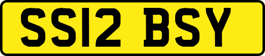 SS12BSY