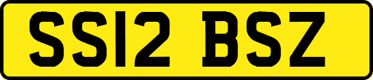 SS12BSZ