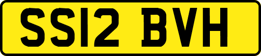 SS12BVH