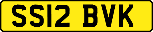 SS12BVK