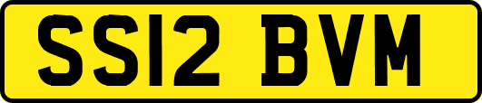 SS12BVM