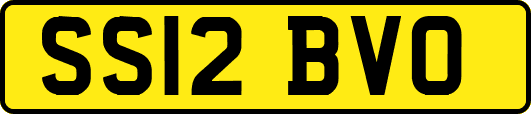 SS12BVO