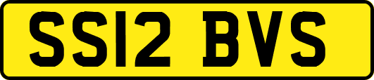 SS12BVS