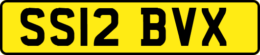 SS12BVX
