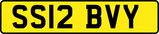 SS12BVY