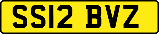SS12BVZ