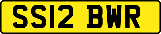 SS12BWR