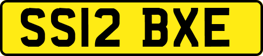 SS12BXE