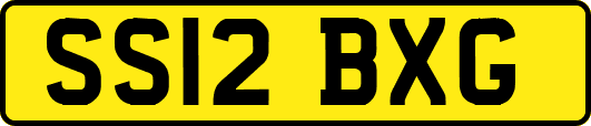 SS12BXG