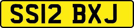 SS12BXJ