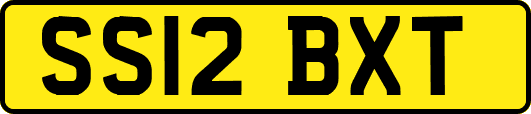 SS12BXT