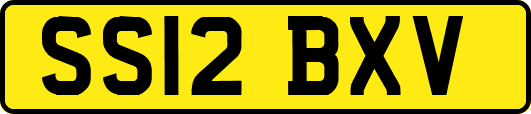 SS12BXV