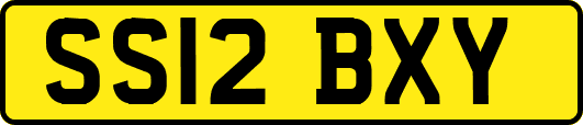 SS12BXY