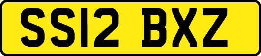 SS12BXZ