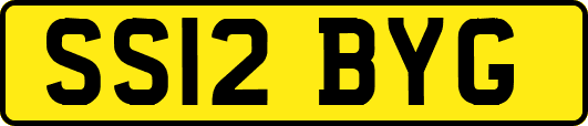 SS12BYG