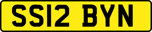 SS12BYN