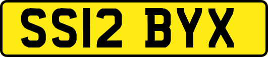SS12BYX