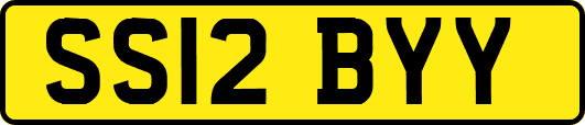SS12BYY