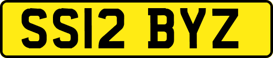 SS12BYZ