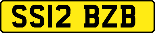 SS12BZB