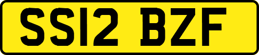 SS12BZF