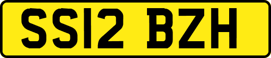 SS12BZH