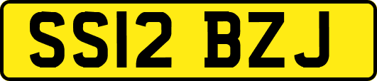 SS12BZJ